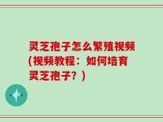 灵芝孢子怎么繁殖视频(视频教程：如何培育灵芝孢子？)