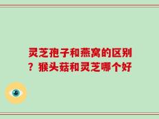灵芝孢子和燕窝的区别？猴头菇和灵芝哪个好