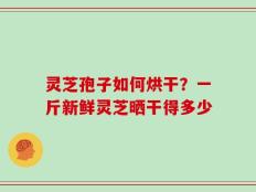 灵芝孢子如何烘干？一斤新鲜灵芝晒干得多少