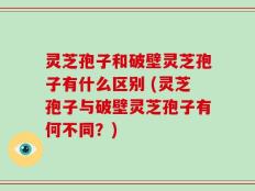 灵芝孢子和破壁灵芝孢子有什么区别 (灵芝孢子与破壁灵芝孢子有何不同？)