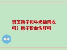灵芝孢子和牛奶能同吃吗？孢子粉会伤肝吗