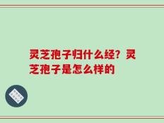 灵芝孢子归什么经？灵芝孢子是怎么样的