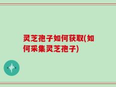 灵芝孢子如何获取(如何采集灵芝孢子)