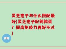 灵芝孢子与什么搭配最好(灵芝孢子配鹌鹑蛋？提高免疫力再好不过)