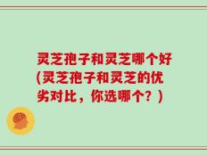 灵芝孢子和灵芝哪个好(灵芝孢子和灵芝的优劣对比，你选哪个？)