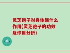 灵芝孢子对身体起什么作用(灵芝孢子的功效及作用分析)