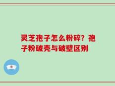 灵芝孢子怎么粉碎？孢子粉破壳与破壁区别