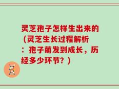灵芝孢子怎样生出来的 (灵芝生长过程解析：孢子萌发到成长，历经多少环节？)