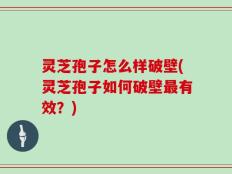 灵芝孢子怎么样破壁(灵芝孢子如何破壁最有效？)