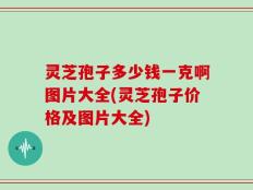 灵芝孢子多少钱一克啊图片大全(灵芝孢子价格及图片大全)
