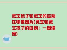 灵芝孢子和灵芝的区别在哪里图片(灵芝和灵芝孢子的区别：一图读懂)