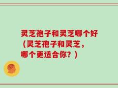 灵芝孢子和灵芝哪个好 (灵芝孢子和灵芝，哪个更适合你？)