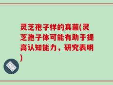 灵芝孢子样的真菌(灵芝孢子体可能有助于提高认知能力，研究表明)