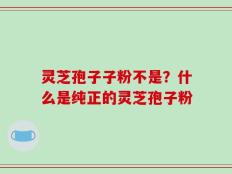 灵芝孢子子粉不是？什么是纯正的灵芝孢子粉