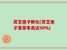 灵芝孢子孵化(灵芝孢子发芽率高达90%)