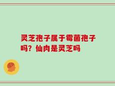 灵芝孢子属于霉菌孢子吗？仙肉是灵芝吗