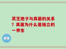 灵芝孢子与真菌的关系？真菌为什么是独立的一界生
