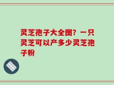 灵芝孢子大全图？一只灵芝可以产多少灵芝孢子粉