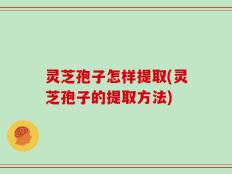灵芝孢子怎样提取(灵芝孢子的提取方法)