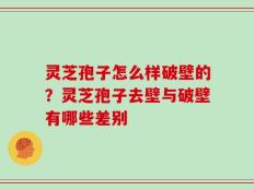 灵芝孢子怎么样破壁的？灵芝孢子去壁与破壁有哪些差别