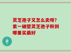 灵芝孢子又怎么卖呀？紫一破壁灵芝孢子粉到哪里买最好