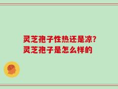 灵芝孢子性热还是凉？灵芝孢子是怎么样的