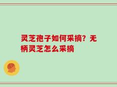 灵芝孢子如何采摘？无柄灵芝怎么采摘
