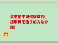 灵芝孢子如何提取的(提取灵芝孢子的方法介绍)