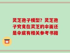 灵芝孢子模型？灵芝孢子究竟在灵芝的伞面还是伞底有相关参考书籍