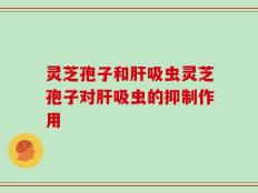 灵芝孢子和肝吸虫灵芝孢子对肝吸虫的抑制作用