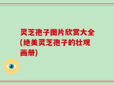 灵芝孢子图片欣赏大全(绝美灵芝孢子的壮观画册)