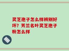 灵芝孢子怎么样辨别好坏？芳兰名叶灵芝孢子粉怎么样