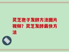 灵芝孢子发酵方法图片视频？灵芝发酵最快方法