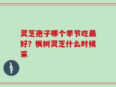 灵芝孢子哪个季节吃最好？枫树灵芝什么时候采