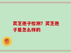 灵芝孢子检测？灵芝孢子是怎么样的