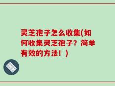 灵芝孢子怎么收集(如何收集灵芝孢子？简单有效的方法！)