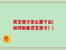 灵芝孢子怎么整下去(如何制备灵芝孢子？)