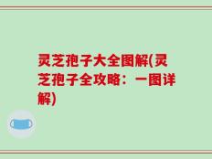 灵芝孢子大全图解(灵芝孢子全攻略：一图详解)