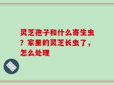 灵芝孢子和什么寄生虫？家里的灵芝长虫了，怎么处理