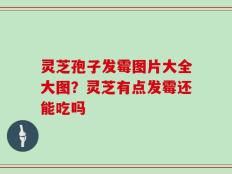 灵芝孢子发霉图片大全大图？灵芝有点发霉还能吃吗