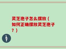 灵芝孢子怎么摆放 (如何正确摆放灵芝孢子？)
