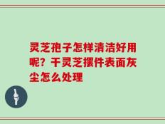 灵芝孢子怎样清洁好用呢？干灵芝摆件表面灰尘怎么处理