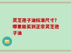 灵芝孢子油标准尺寸？哪里能买到正宗灵芝孢子油