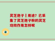 灵芝孢子嘅用途？已采集了灵芝孢子粉的灵芝功效作用怎样呢