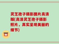 灵芝孢子摄影图片高清版(高清灵芝孢子摄影照片，真实呈现美丽的细节)