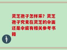 灵芝孢子怎样采？灵芝孢子究竟在灵芝的伞面还是伞底有相关参考书籍