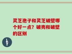 灵芝孢子和灵芝破壁哪个好一点？破壳和破壁的区别