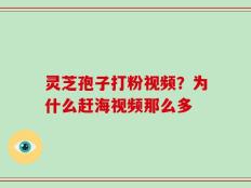 灵芝孢子打粉视频？为什么赶海视频那么多