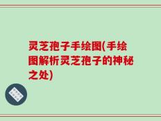 灵芝孢子手绘图(手绘图解析灵芝孢子的神秘之处)
