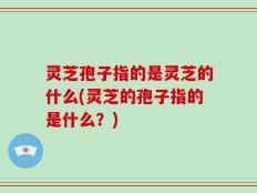 灵芝孢子指的是灵芝的什么(灵芝的孢子指的是什么？)